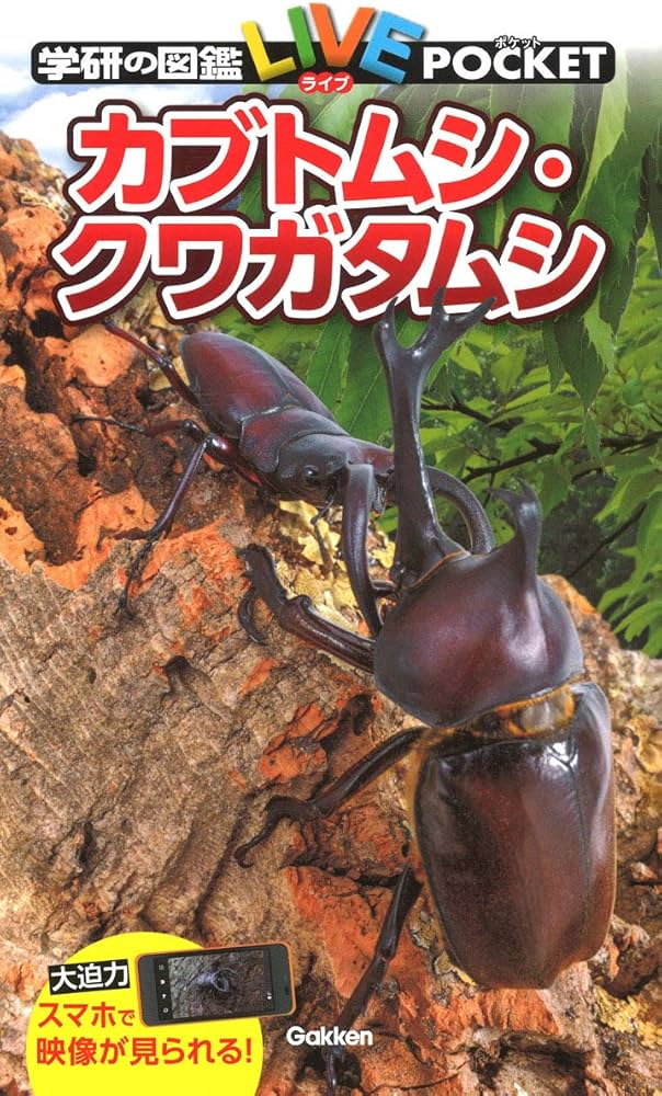 Amazon.co.jp: カブトムシ・クワガタムシ (学研の図鑑LIVE(ライブ