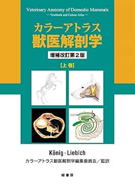 614ei9Mpt4L._AC_UF350,