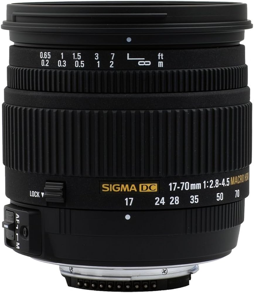 Amazon.com : Sigma 17-70mm f/2.8-4.5 DC HSM Macro Lens for Nikon
