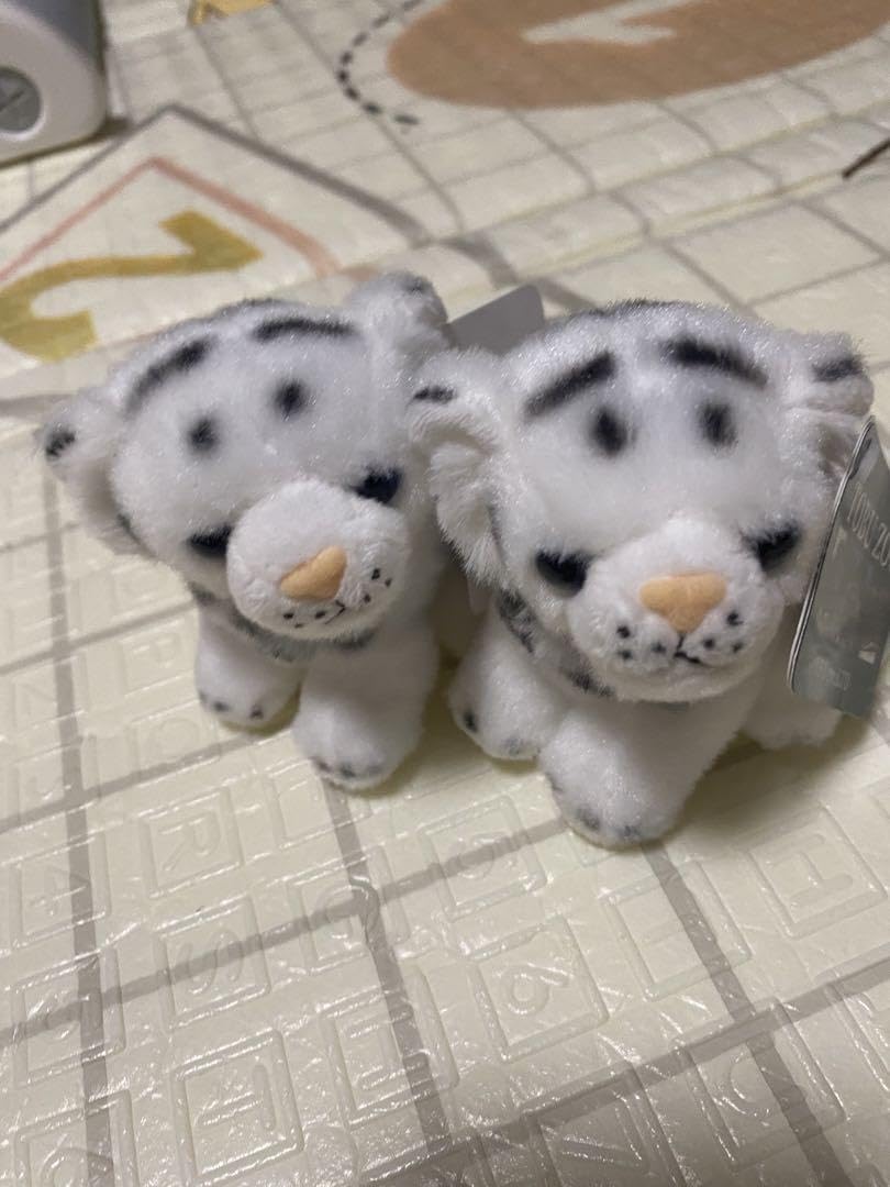 Amazon.co.jp: 東武動物公園限定ホワイトタイガーキーホルダー : おもちゃ