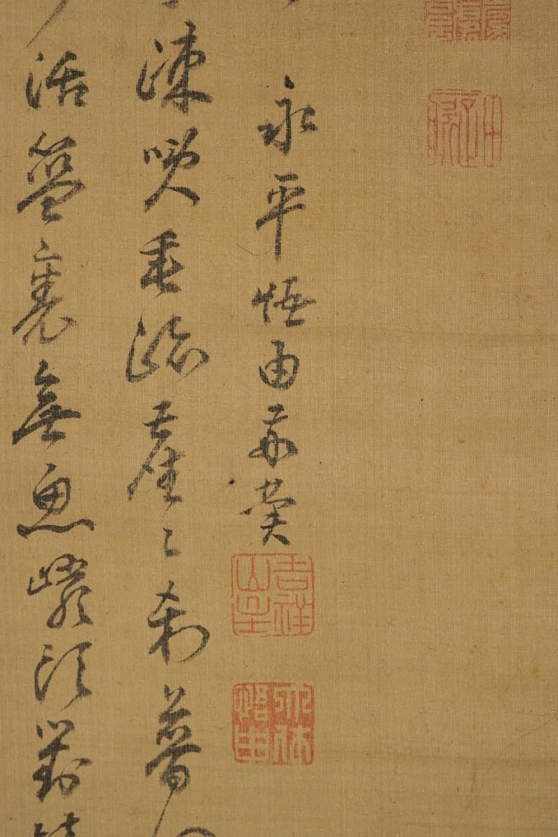 Amazon.co.jp: 【真作小虎落款】掛軸「田能村直入画森田悟由賛観音画賛