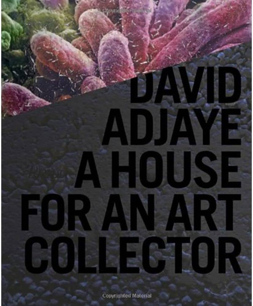 David Adjaye: A House for an Art Collector: Adjaye, David