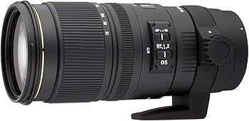 Amazon.com : Sigma 70-200mm f/2.8 APO EX DG HSM OS FLD Large