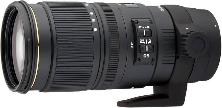Amazon.com : Sigma 70-200mm f/2.8 APO EX DG HSM OS FLD Large