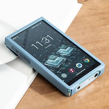 Amazon.co.jp: 《ロゴ入りクロスプレゼント》 FIIO デジタルオーディオ