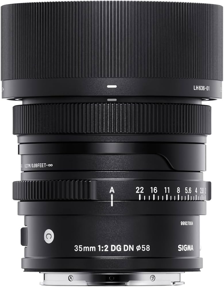 Amazon.com : Sigma 35mm f/2 DG DN Contemporary Lens for Sony E