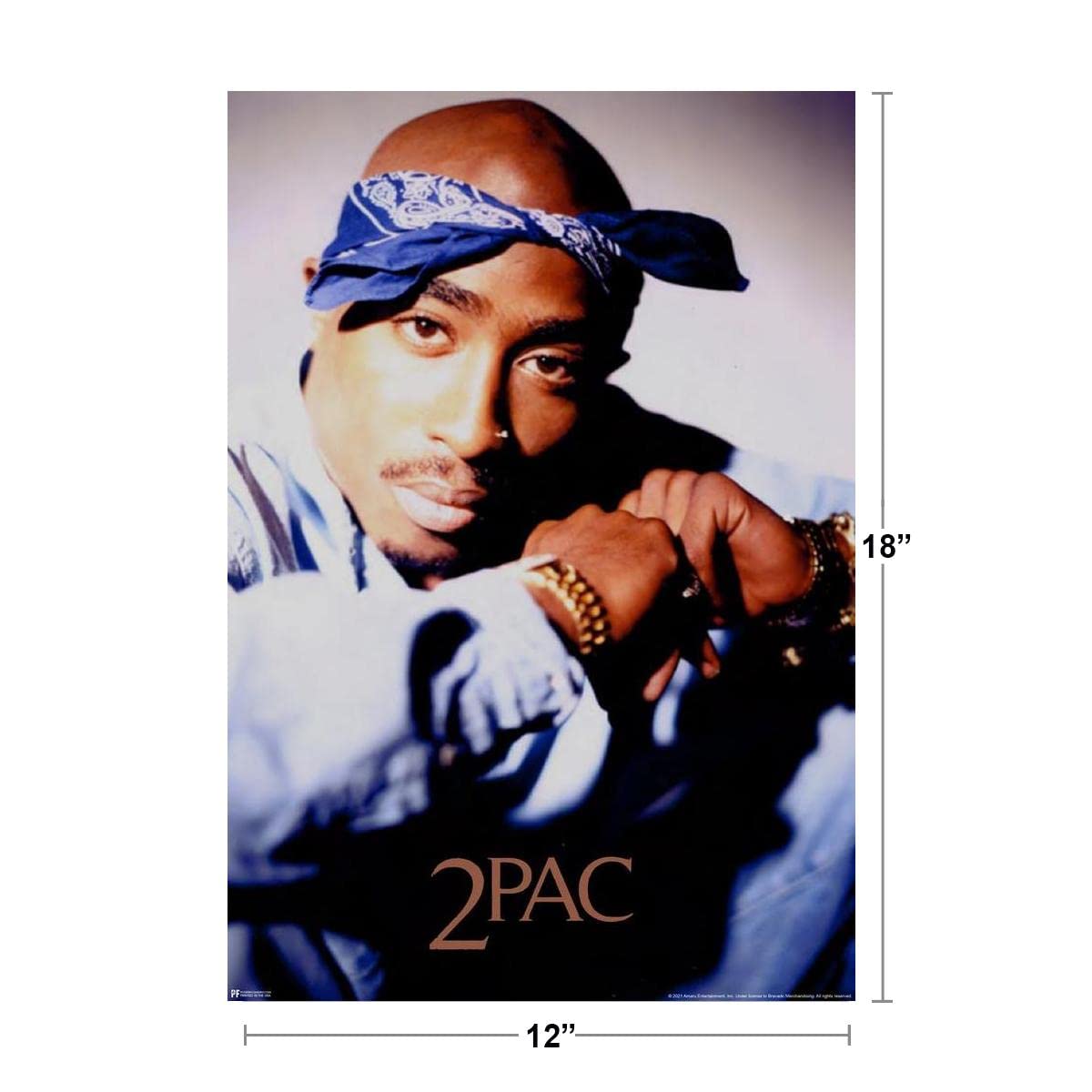 Amazon.com: Tupac Posters 2Pac Poster Blue Bandana Portrait 90s
