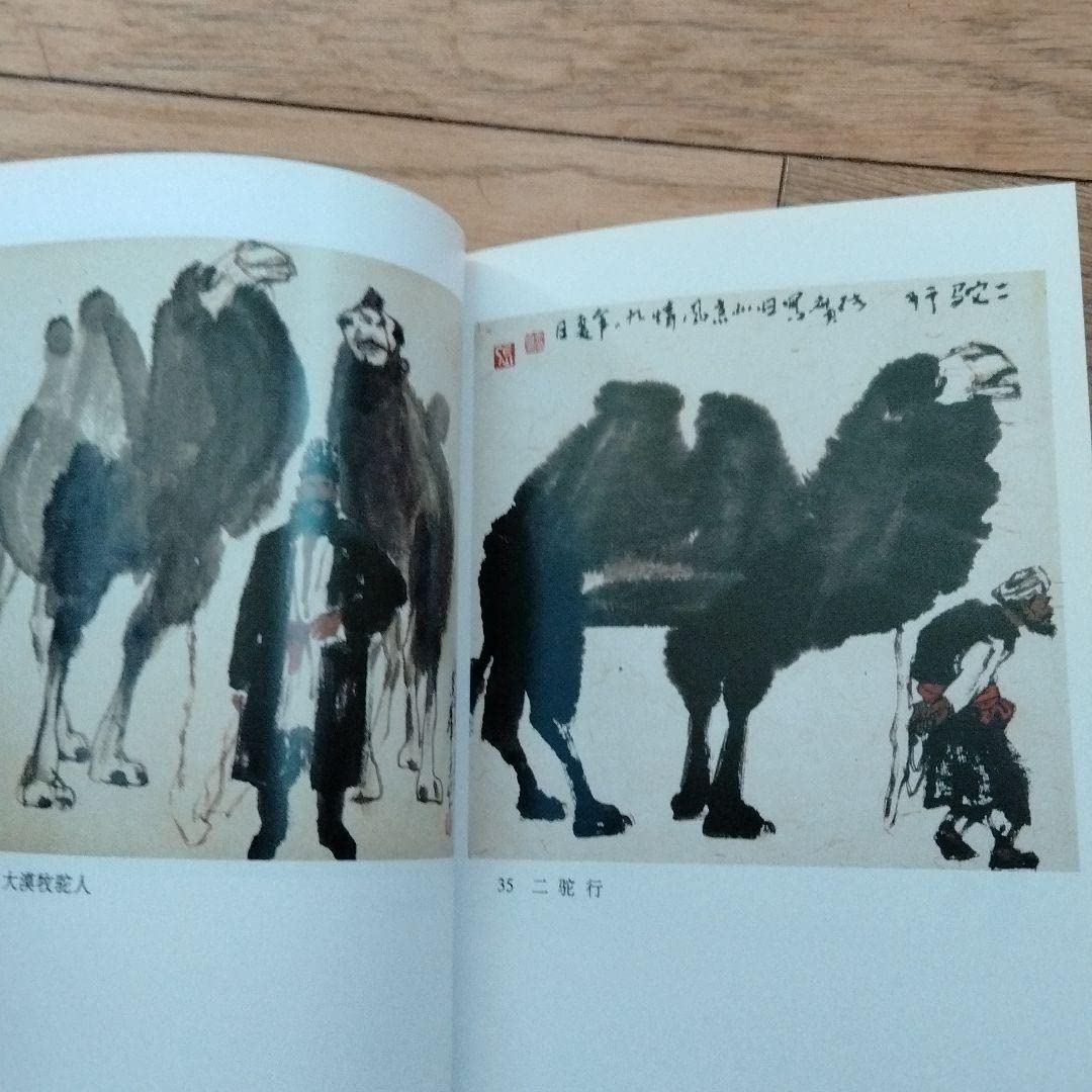 Amazon.co.jp: 中国現代水墨画壇巨匠 最も人気水墨画画家張廣画集中国