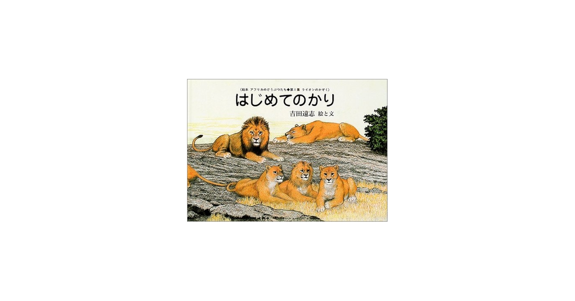 Amazon.co.jp: はじめてのかり (絵本アフリカのどうぶつたち 第 1集