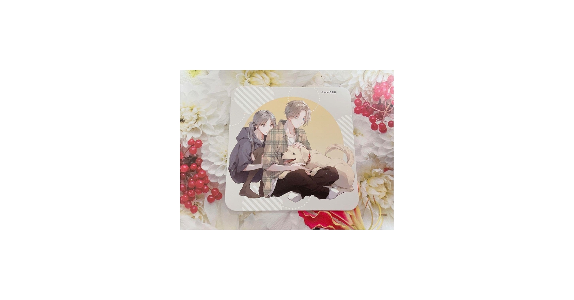 Amazon.co.jp: 墜落jkと廃人教師 特典 カフェ コースター 有働なずな