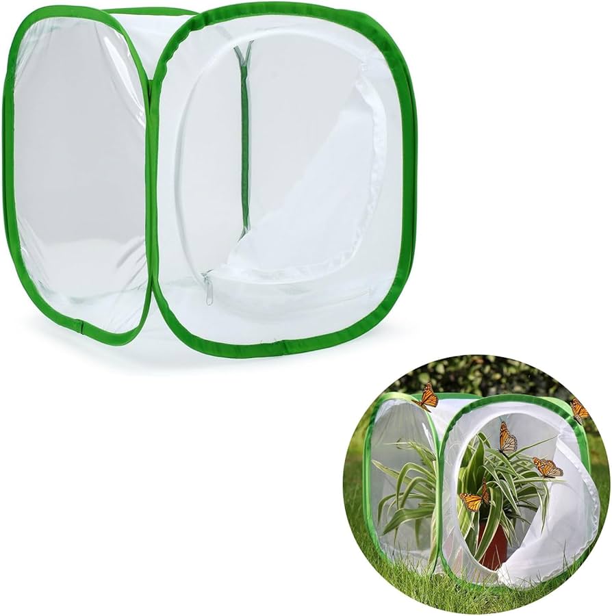 Amazon | 虫籠(緑辺 ホワイト網30*30*30)昆虫飼育箱 植物ケージ 標本箱