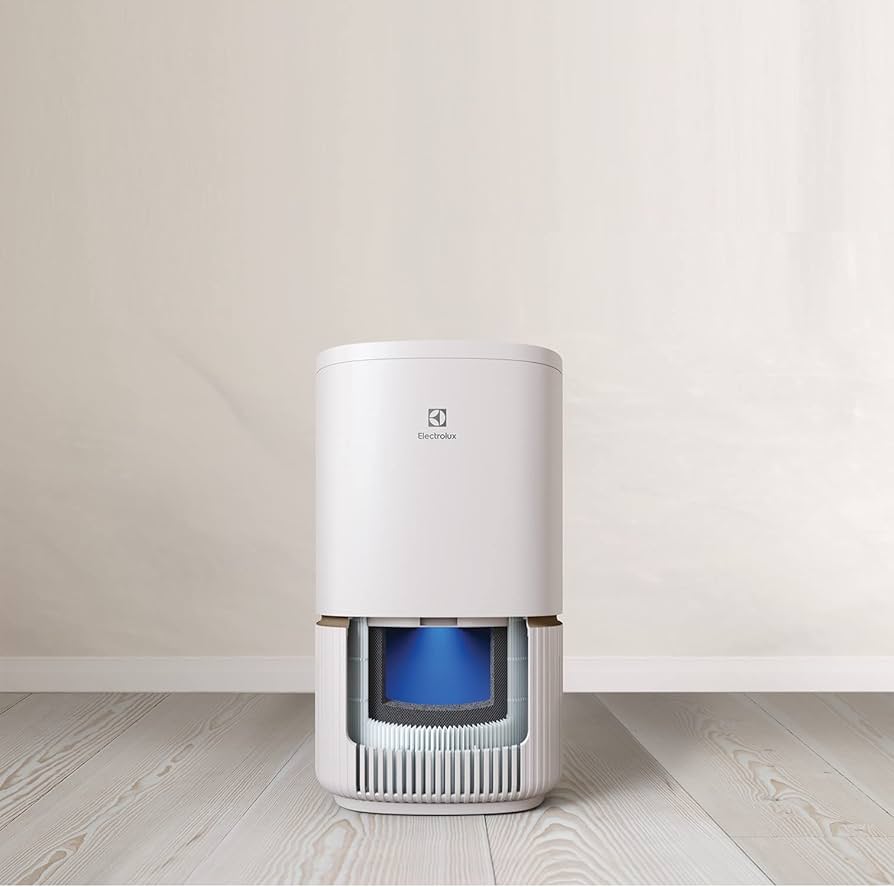 Amazon | Electrolux Ultrafine パーティクル空気清浄機フィルター