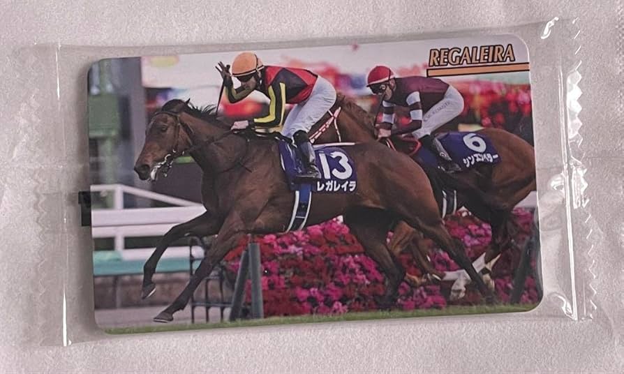 Amazon.co.jp: まねき馬倶楽部 馬手箱 レガレイラ : スポーツ＆アウトドア