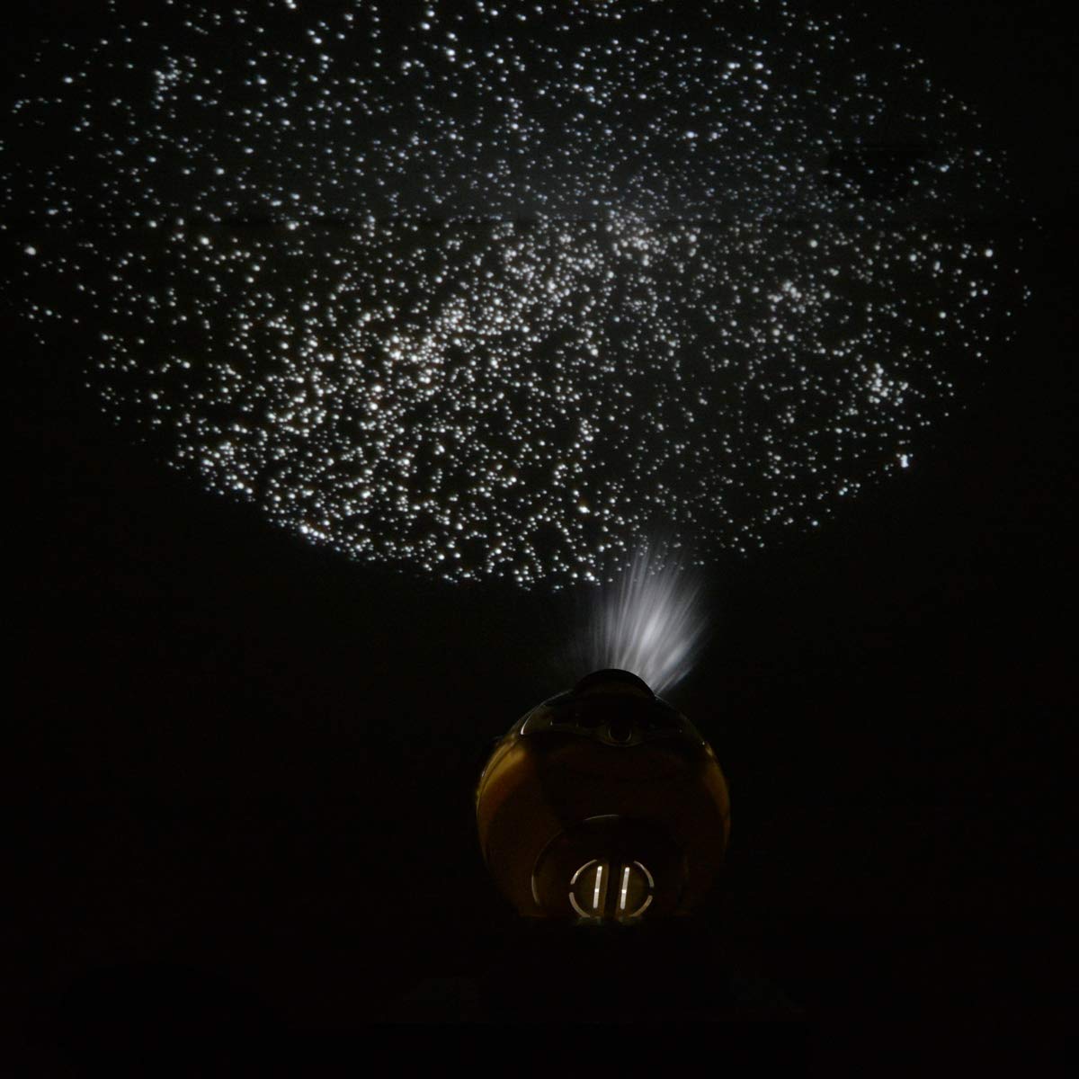 Amazon.co.jp: ケンコー(Kenko) プラネタリウム NEWスターミュージアム