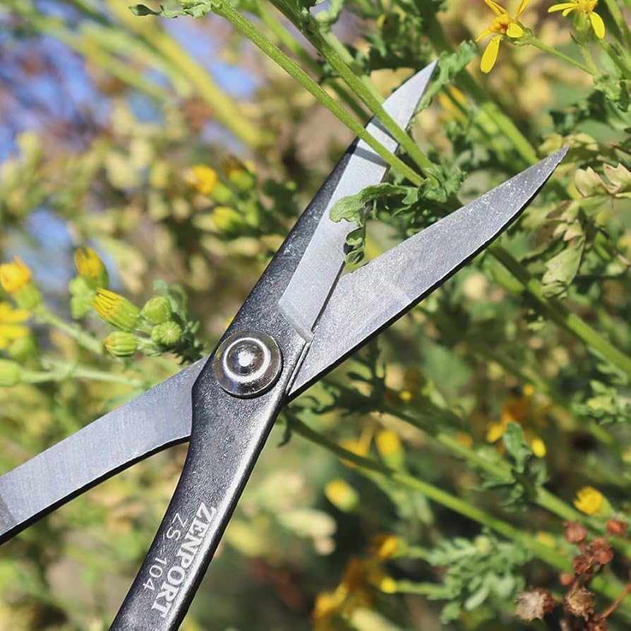 Amazon.com : Zenport ZS104 Deluxe Scissors, 8 inches long