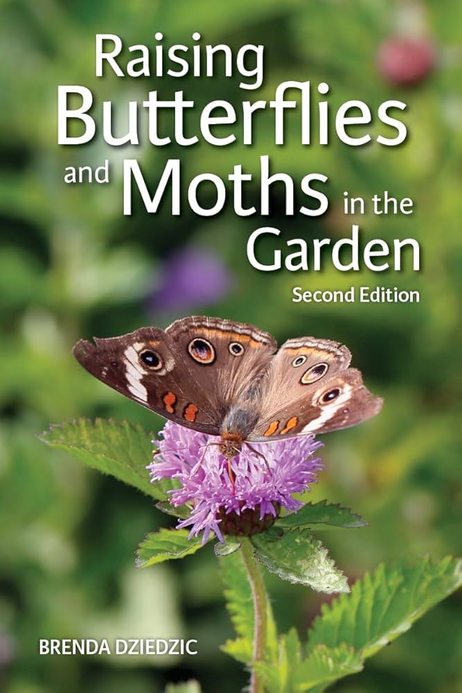 Raising Butterflies and Moths in the Garden: Dziedzic, Brenda