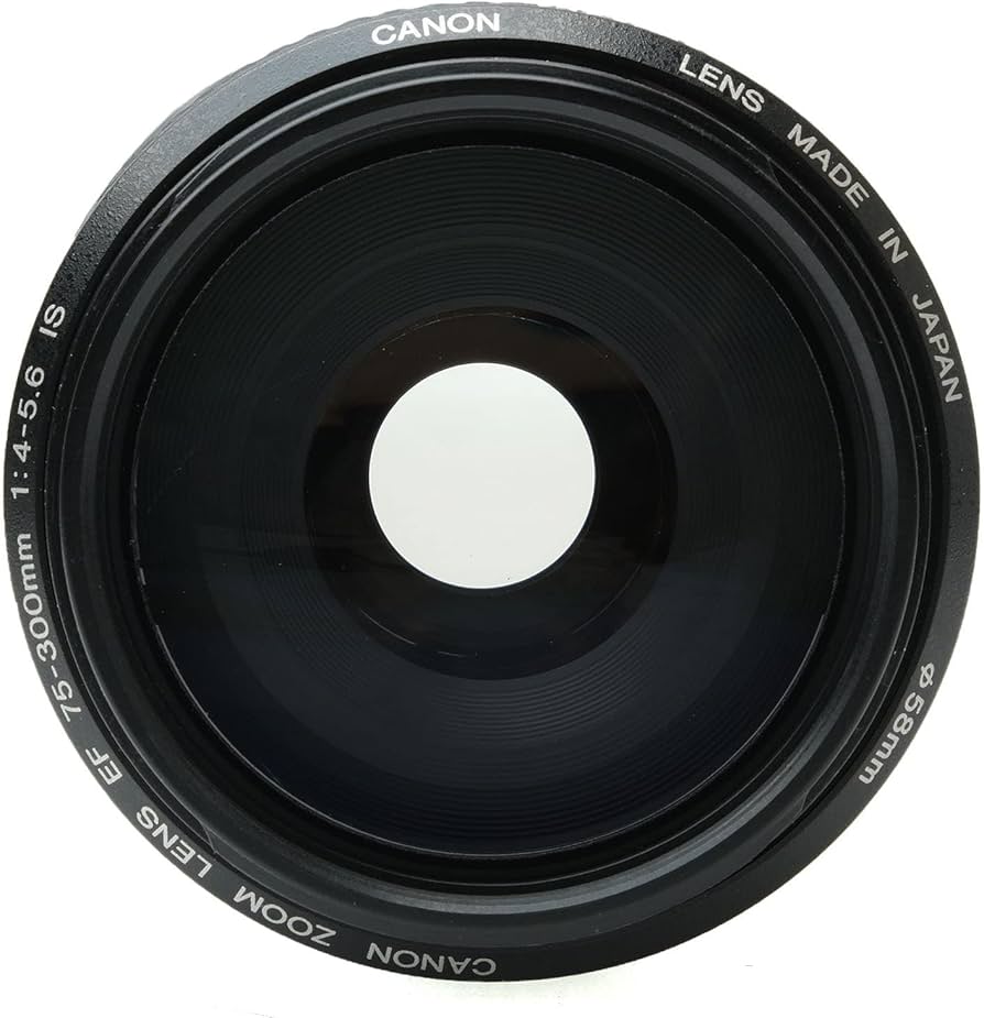 Canon EF 75-300mm f/4-5.6 is USM Telephoto Zoom Lens for Canon SLR