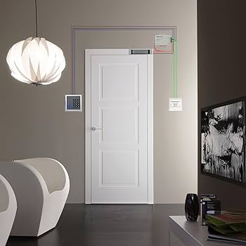 Amazon.com: AGPTEK RFID Door Access Control System Kit, Home