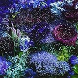 あなたに出会わなければ ～夏雪冬花～ 歌詞 Aimer 夏雪ランデブー ED