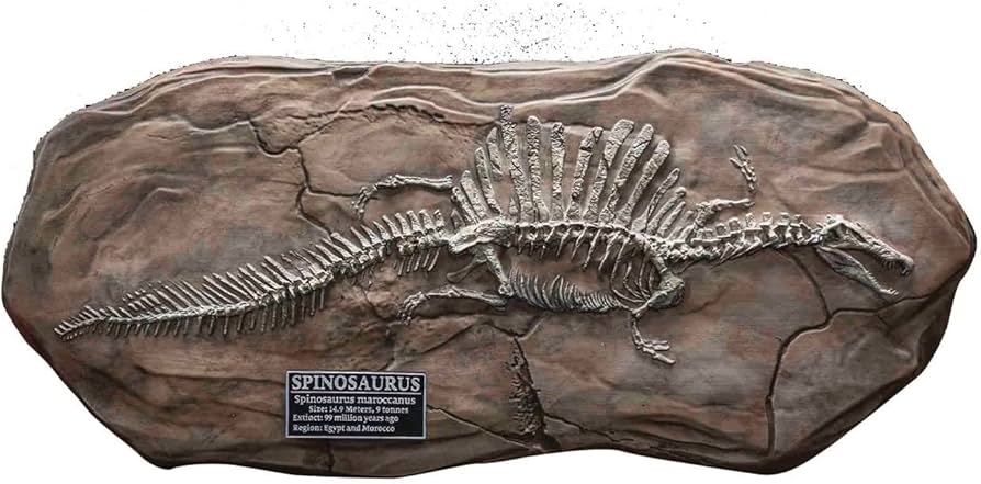 Amazon | スターエーストイズ ワンダーズ オブ ザ ワイルド