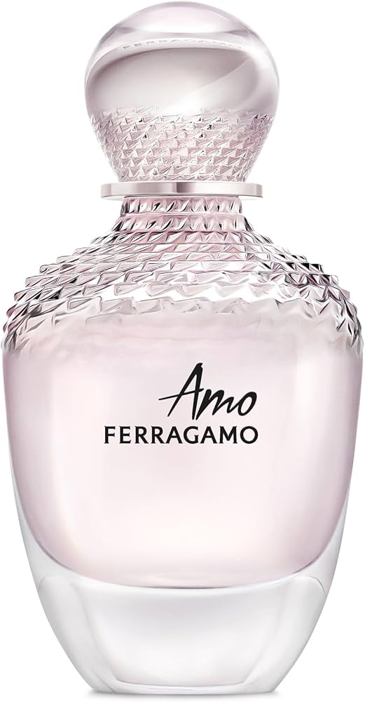 Amazon.com: Salvatore Ferragamo Amo Ferragamo for Women 3.4 oz Eau
