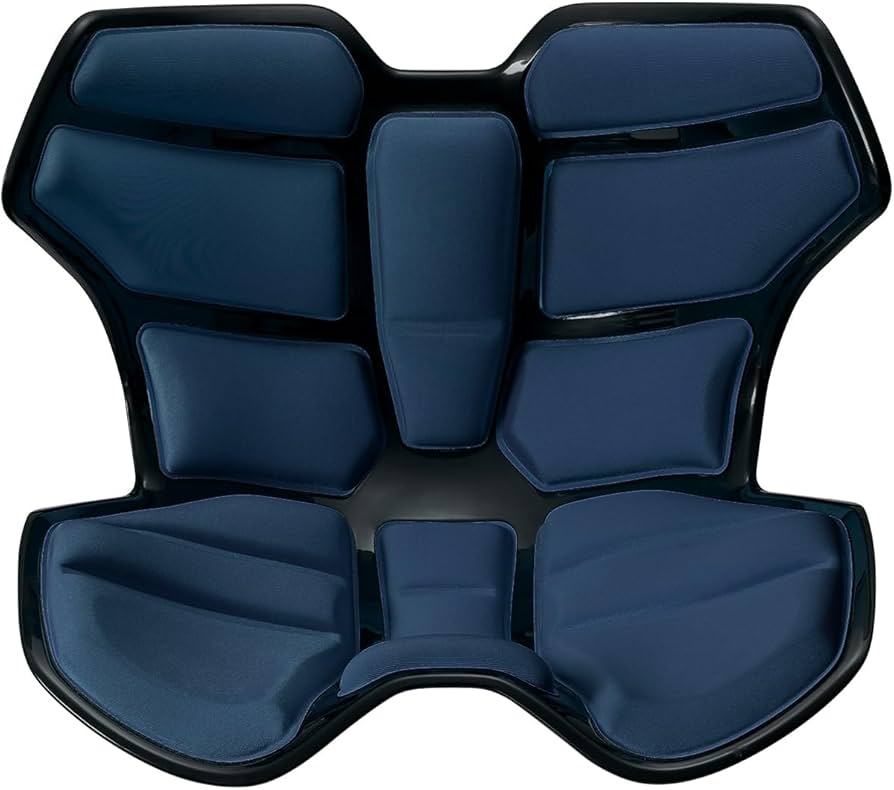 Amazon.co.jp: Style Standard MTG Navy Pelvic Support Chair Posture
