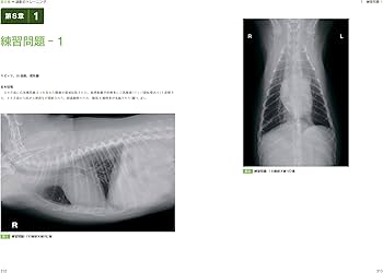 617iW1l49fL._AC_UF350,