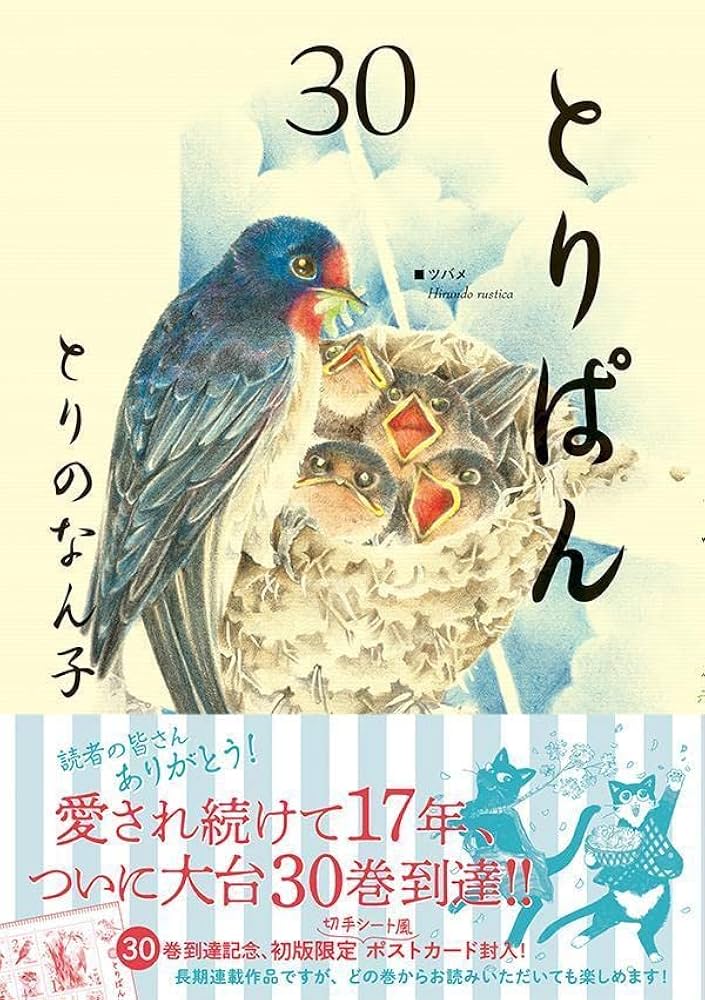 6185OWZovQL._AC_UF1000,