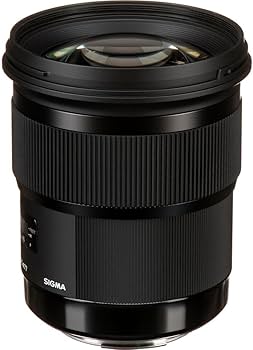 Amazon.com : Sigma 50mm F1.4 Art DG HSM Lens for Canon : Electronics