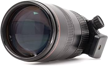 Canon EF 80-200mm f/2.8 L Zoom Lens : Amazon.in: Electronics