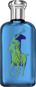 618LfUXaYBL._AC_UF350,