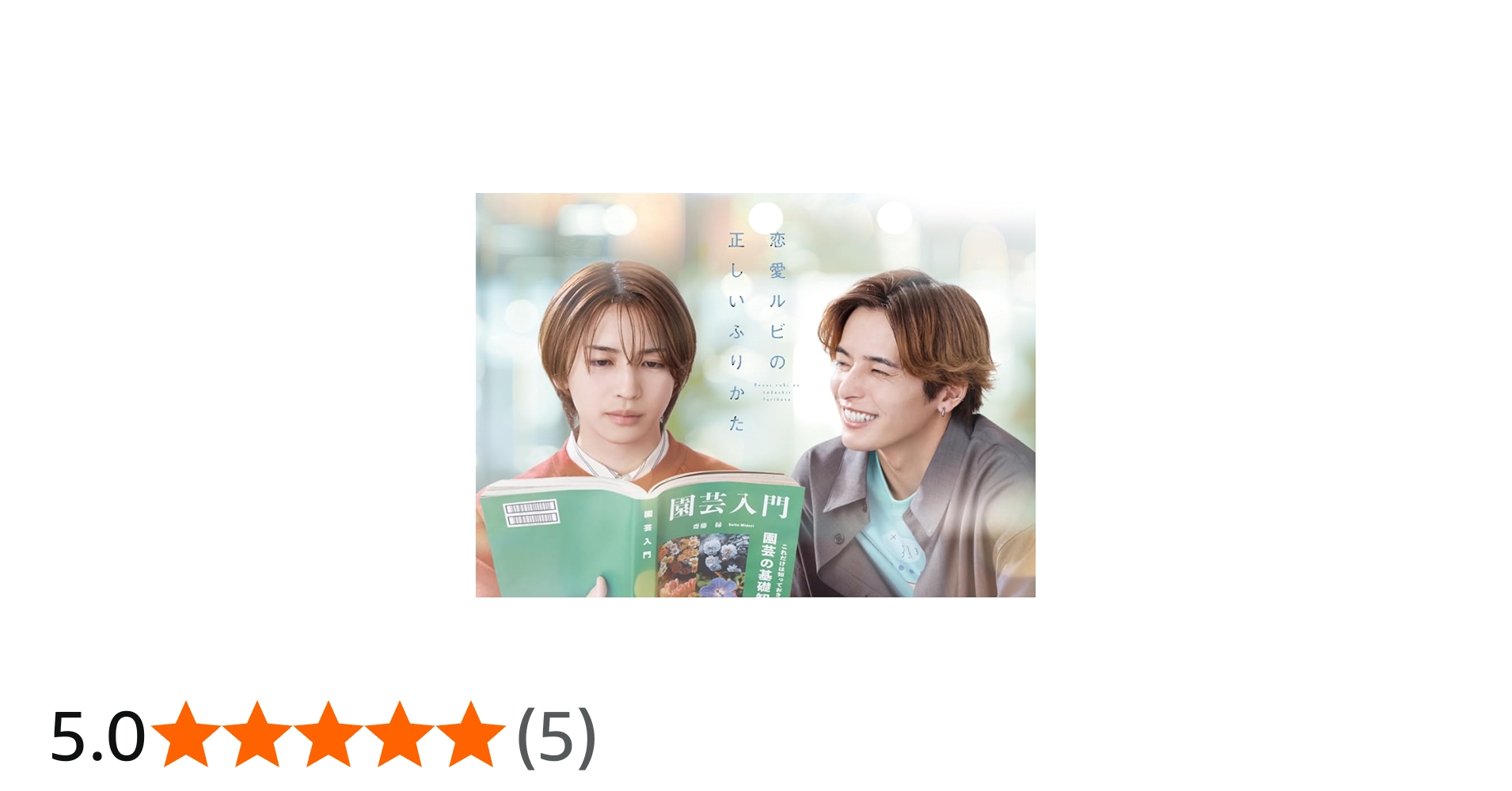 Amazon.co.jp: 恋愛ルビの正しいふりかた DVD BOX [DVD] : 岩橋 玄樹