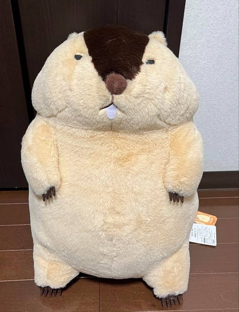 Amazon.co.jp: マーモットのもっとっと ウルトラBIGぬいぐるみ はまも