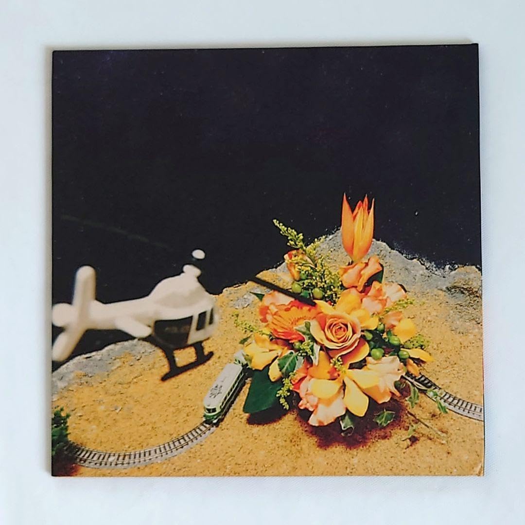 Amazon.co.jp: 緑黄色社会 インディーズ CD ノンカテゴリ 直筆サイン