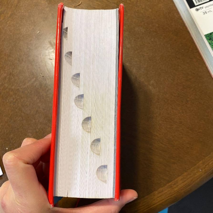 新品 Redhouse 英語-トルコ語 トルコ語 - 英語辞典 Amazon.co.jp: 英語