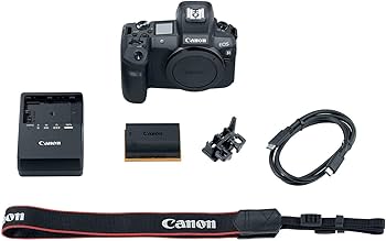 Amazon.com : Canon EOS R Mirrorless Digital Camera (Body Only