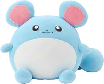 618ruI9g3mL._AC_UF350,