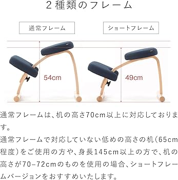 Amazon.co.jp: バランスラボ バランスイージー ショートフレーム 通常