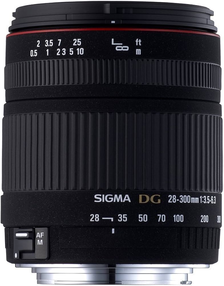 即日発送】SIGMA 28-300mm Canon用 標準＋望遠レンズ美品 Amazon.co.jp: