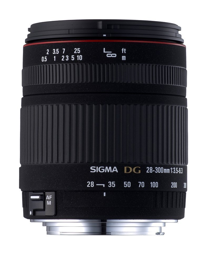 Amazon.co.jp: シグマ 28-300mm F3.5-6.3 DG MACRO キヤノン用 : 家電