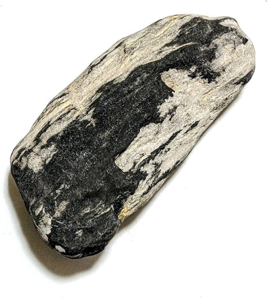Amazon.co.jp: 青森県産 津軽錦石 珪化木 木化石 樹化石 原石 置石