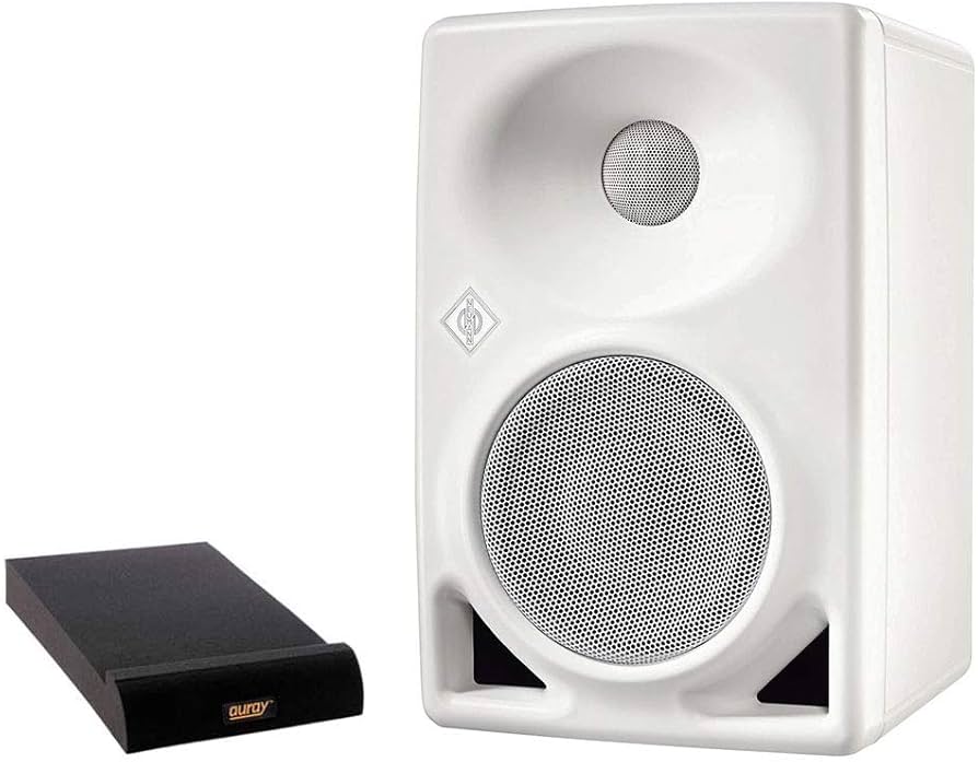 Amazon.com: Neumann KH 80 DSP 4