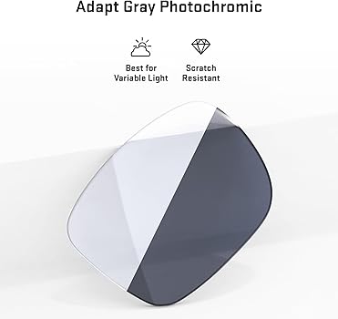 Amazon.com: Revant Replacement Lenses for Prada PS 01TS Sunglasses