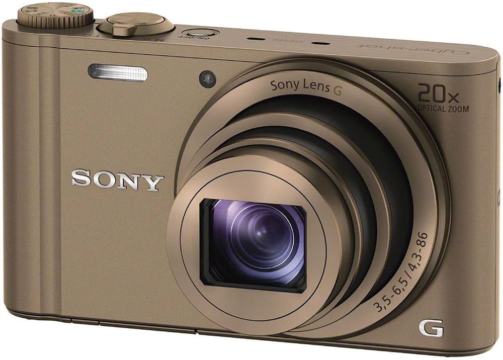Buy Sony Cyber-Shot DSC-WX300/TCE32 18.2MP Point-and-Shoot Digital
