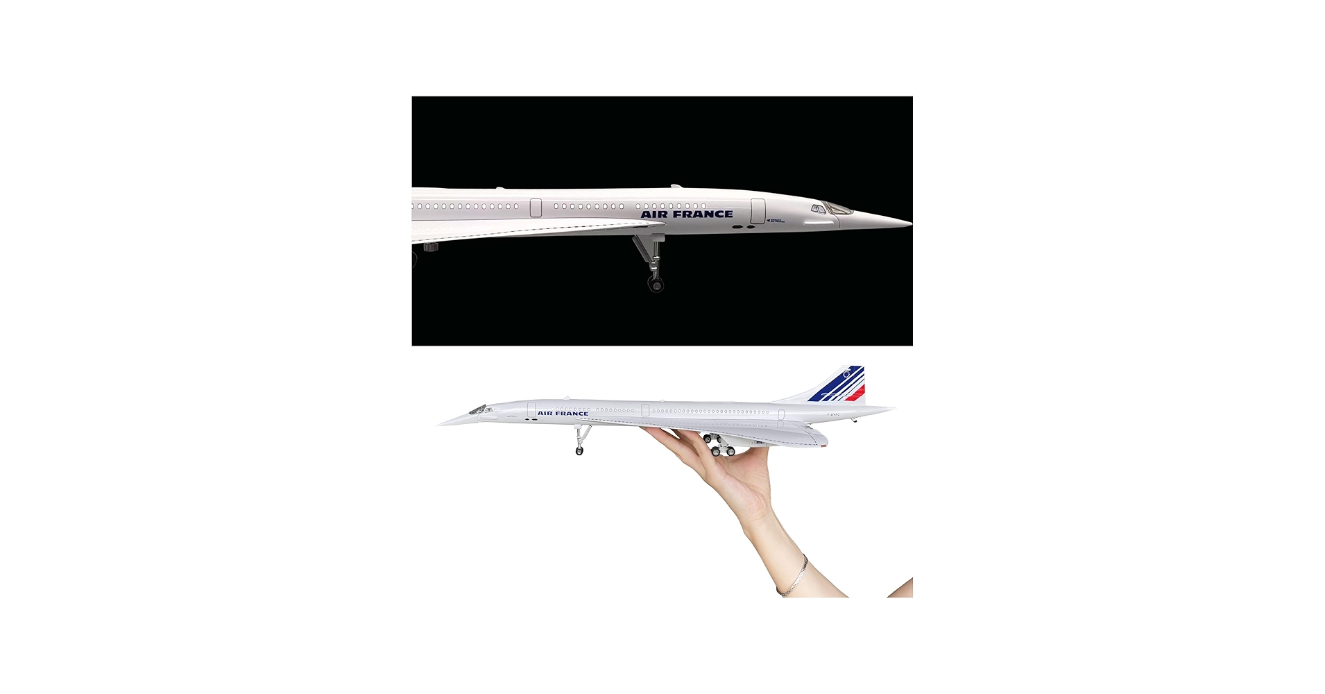 Amazon.com: Mahfisj 1/125 Scale Model Airplane - France Livery