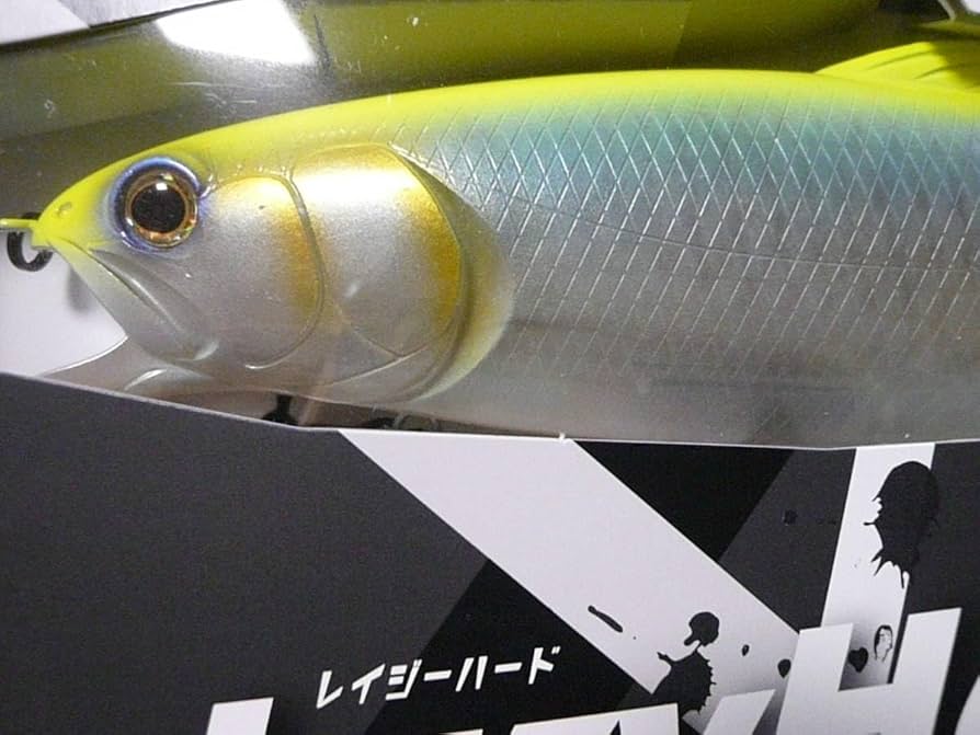 Amazon.co.jp: イマカツ レイジーハード ストロングチャート : ホーム