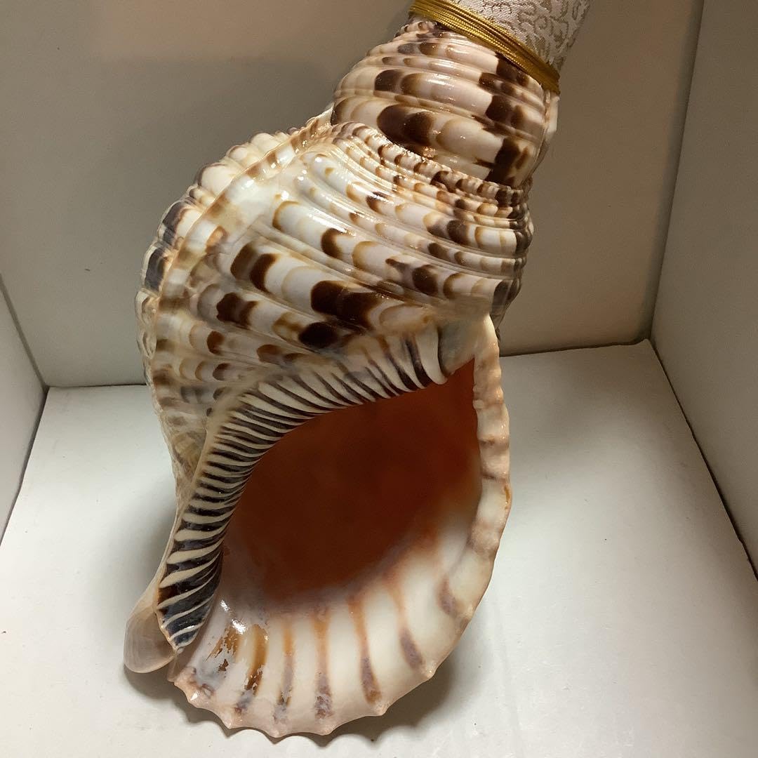 ヤフメリ20・法螺貝・山伏・修験者・金峯山・羽黒山・戦国武将・縁起物