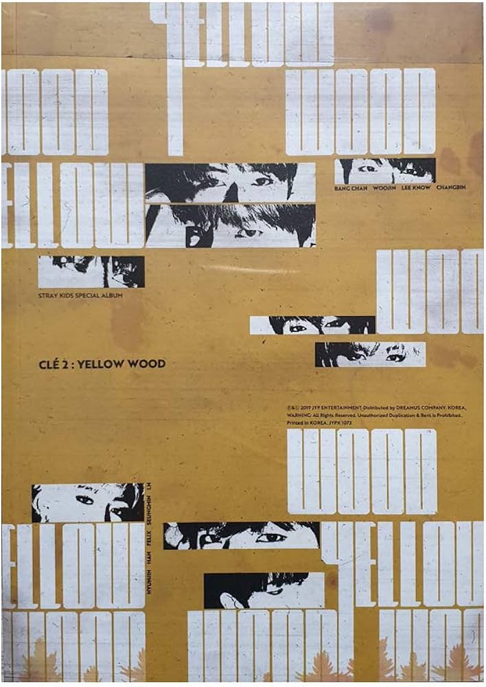 Amazon.com: STRAY KIDS Special Album - CLE 2 : Yellow Wood (Clé 2