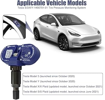 61+eWWNC6yL._AC_UF350,