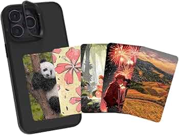 61+2DbTzS1L._AC_UF350,